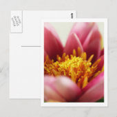 Passion Flower Briefkaart (Voorkant / Achterkant)