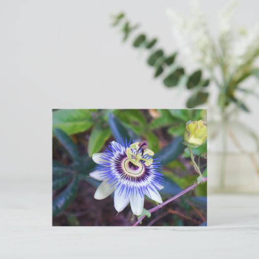 Passion Flower Briefkaart (Staand voorkant)