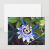 Passion Flower Briefkaart (Voorkant / Achterkant)