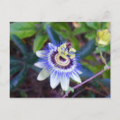 Passion Flower Briefkaart (Voorkant)