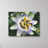 Passion Flower Canvas afdrukken (Voorkant)