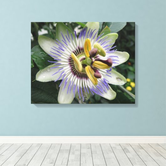 Passion Flower Canvas afdrukken (Insitu (Houten vloer))