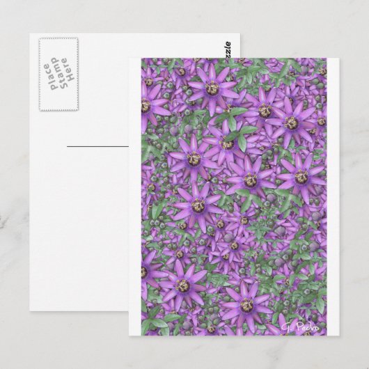 Passion Flower Explosion Briefkaart (Voorkant / Achterkant)