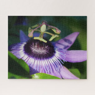Passion Flower Jigzaag Puzzle Legpuzzel