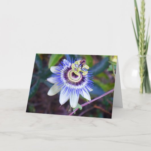 Passion Flower Kaart (Voorkant)