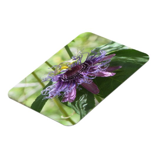 Passion Flower Magneet (Linkerzijde)
