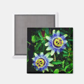 Passion Flower Magneet (Voorkant / Achterkant)