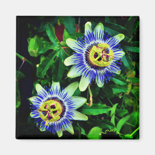 Passion Flower Magneet