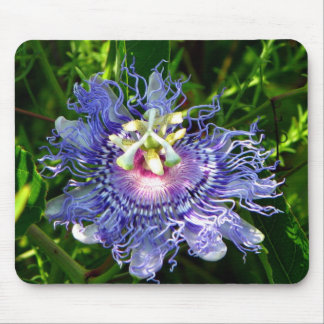 Passion Flower Muismat