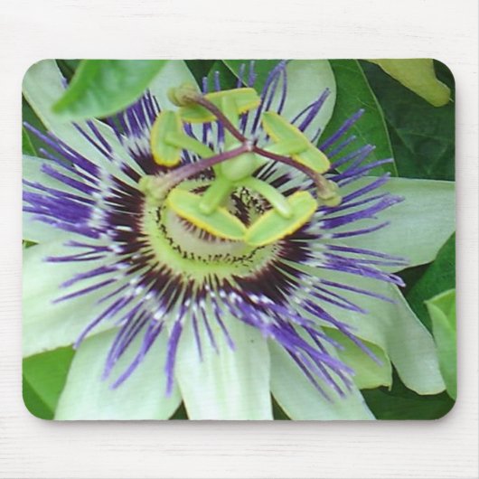 Passion Flower Muismat (Voorkant)