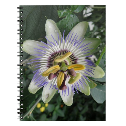 Passion Flower Notitieboek (Voorkant)
