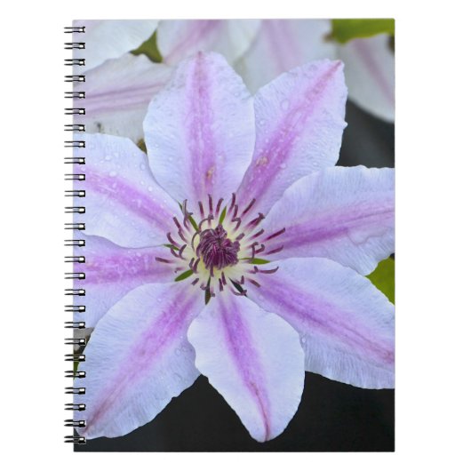 Passion Flower Notitieboek (Voorkant)