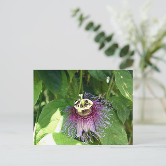 Passion Flower - Paars Briefkaart (Staand voorkant)