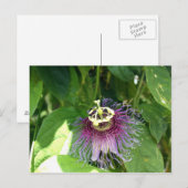 Passion Flower - Paars Briefkaart (Voorkant / Achterkant)