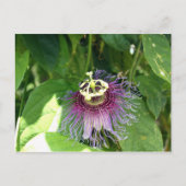 Passion Flower - Paars Briefkaart (Voorkant)