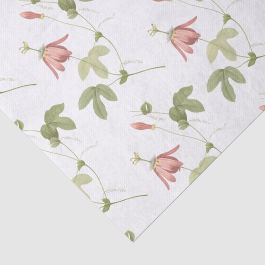 Passion Flower Pattern Tissuepapier (Detail)