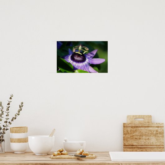 Passion Flower Poster (Keuken)