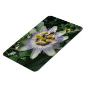 Passion Flower Premium Magnet Magneet (Linkerzijde)