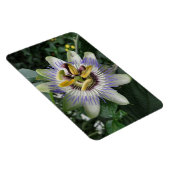Passion Flower Premium Magnet Magneet (Rechterzijde)