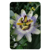 Passion Flower Premium Magnet Magneet (Verticaal)