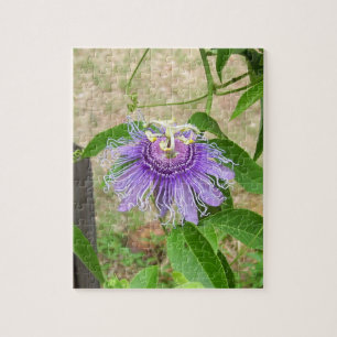 Passion Flower Puzzle Legpuzzel