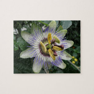 Passion Flower Puzzle Legpuzzel