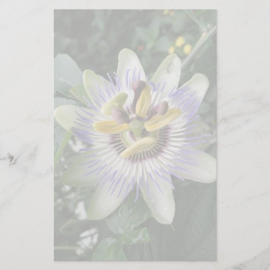 Passion Flower Stationery Briefpapier (Voorkant)