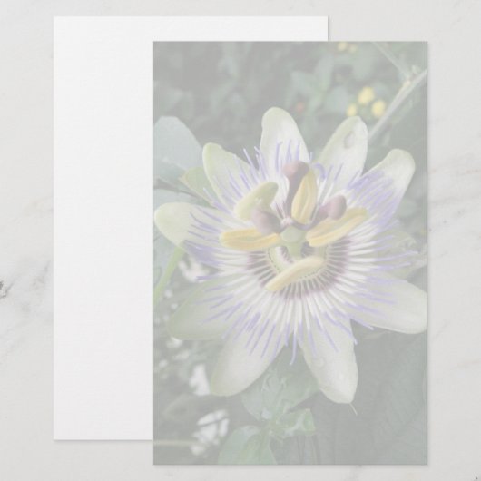 Passion Flower Stationery Briefpapier (Voorkant / Achterkant)