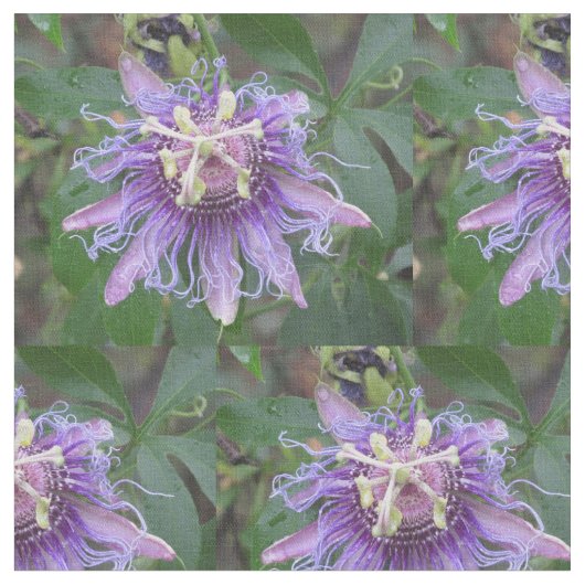 Passion Flower Stof (Close Up)