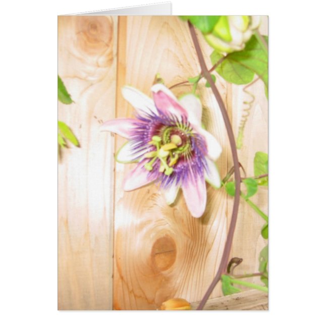 Passion Flower Vine (Voorkant)
