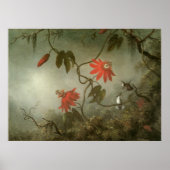 Passion Flowers en Hummingbird van Martin J Heade Poster (Voorkant)