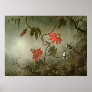 Passion Flowers en Hummingbird van Martin J Heade Poster