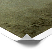 Passion Flowers en Hummingvogels Poster (Hoek)