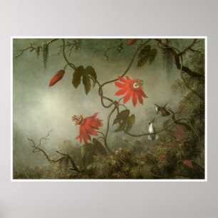 Passion Flowers en Hummingvogels Poster