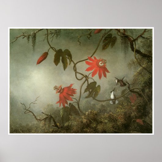 Passion Flowers en Hummingvogels Poster (Voorkant)