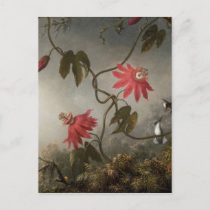 Passion Flowers met Hummingvogels van Martin Johns Briefkaart