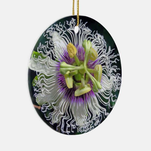 Passion Fruit Blossom Keramisch Ornament (Rechts)