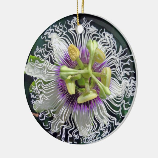 Passion Fruit Blossom Keramisch Ornament (Links)