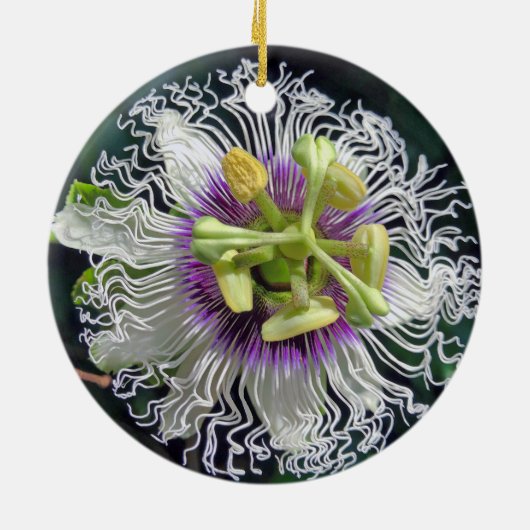 Passion Fruit Blossom Keramisch Ornament (Achterkant)
