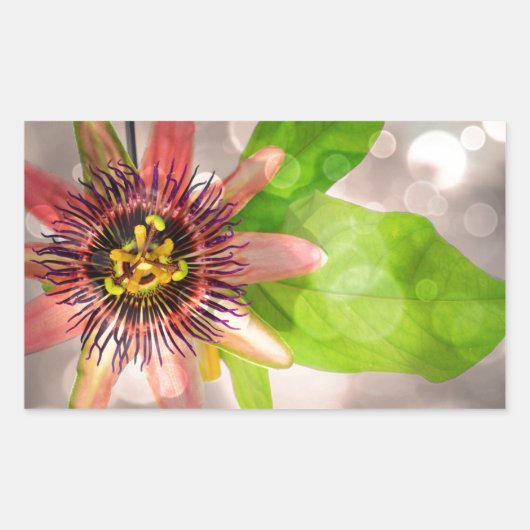 Passion Fruit Flower Rechthoekige Sticker (Voorkant)
