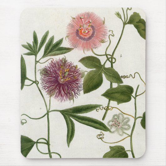 Passion Fruit Mousepad Muismat (Voorkant)