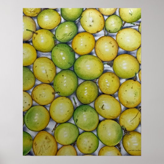 Passion Fruit Poster (Voorkant)
