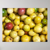 Passion Fruit Poster (Voorkant)