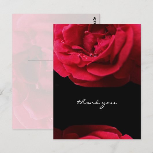 Passion Red Rose Bedankt Briefkaart (Voorkant / Achterkant)