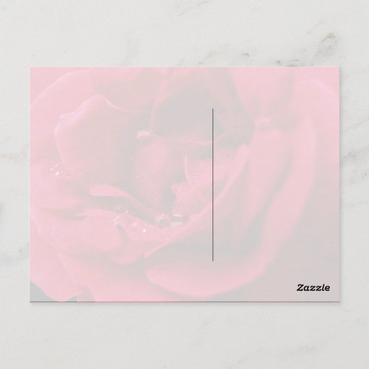 Passion Red Rose Bedankt Briefkaart (Achterkant)