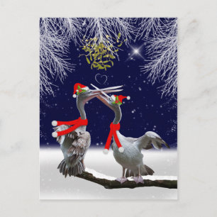 Passionate Pelicans Briefkaart met kerstmis