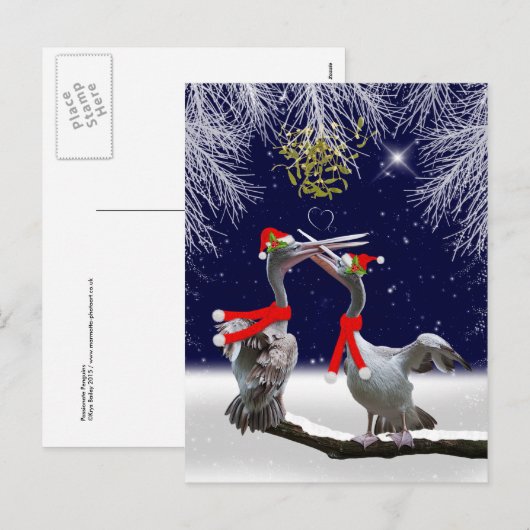 Passionate Pelicans Christmas Briefkaart (Voorkant / Achterkant)