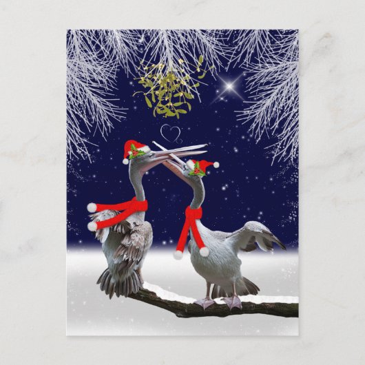 Passionate Pelicans Christmas Briefkaart (Voorkant)