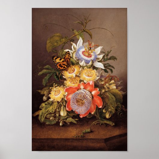 Passionbloemen | Ferdinand Bauer Poster (Voorkant)