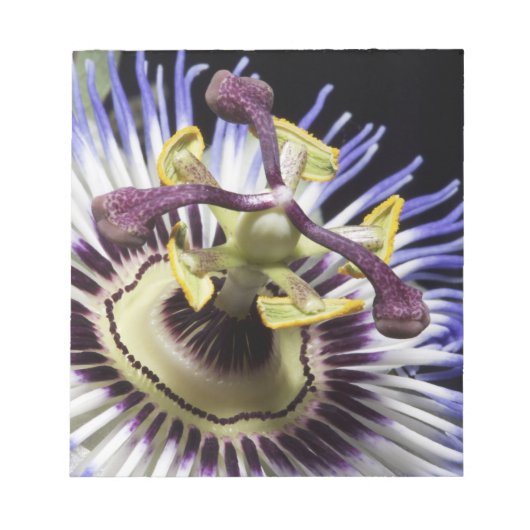 Passionflower close-up (MR) Notitieblok (Voorkant)